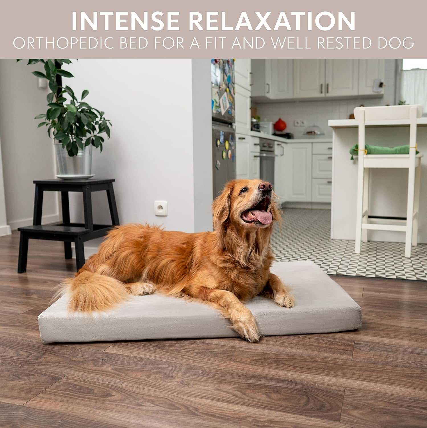 Memory Foam Dog Bed (High Density) - Orthopedic Dog Bed Insert for Large Dogs and Small, Medium, Extra Large Dogs - 5 Bed Sizes from Puppy to 100Lbs Dog - Temperature Regulating Cooling Bed - XL