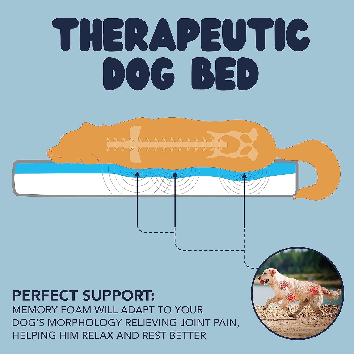 Memory Foam Dog Bed (High Density) - Orthopedic Dog Bed Insert for Large Dogs and Small, Medium, Extra Large Dogs - 5 Bed Sizes from Puppy to 100Lbs Dog - Temperature Regulating Cooling Bed - XL